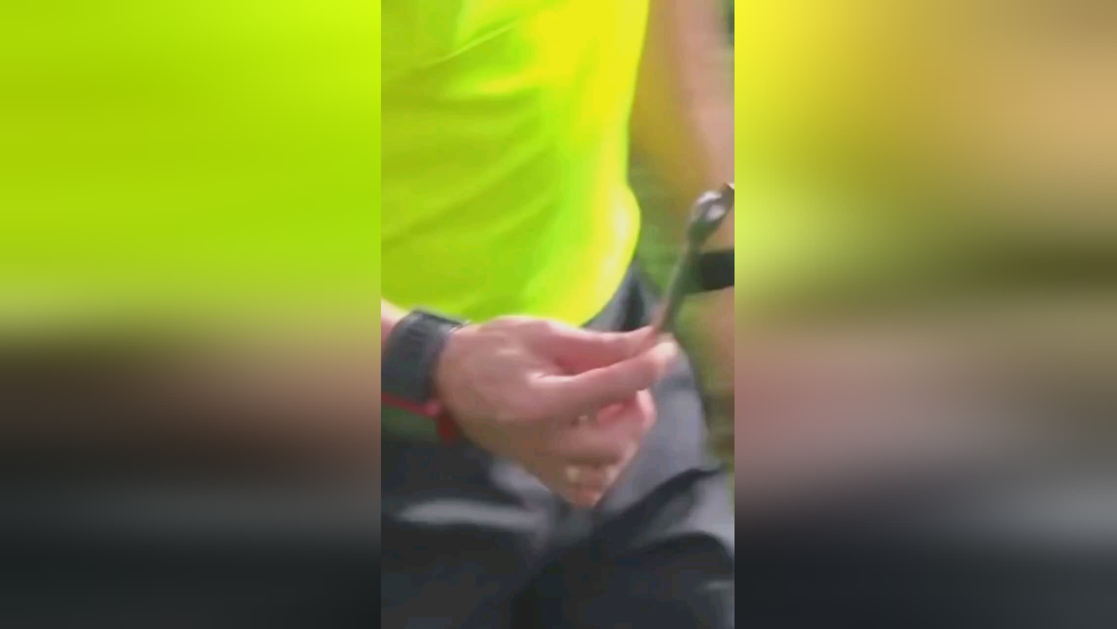 莫的大门